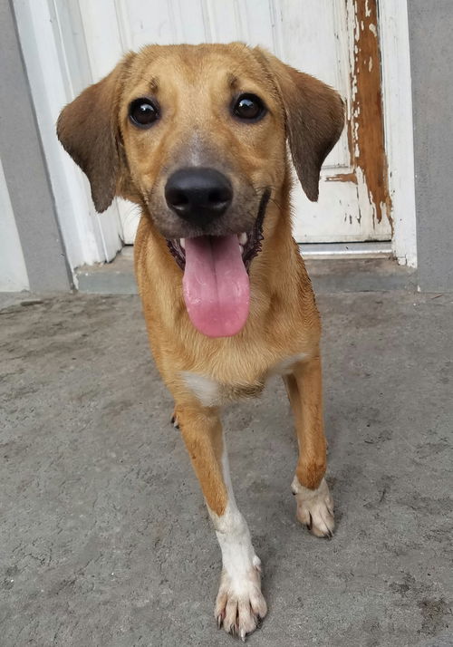 Oakley