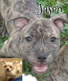 Jason