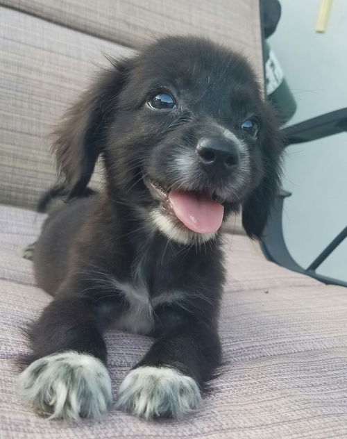 Gina