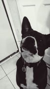 Jake