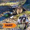 Gary