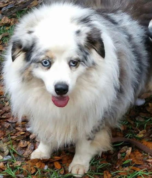Sadie