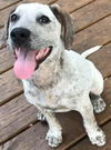 Tex