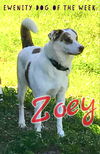 Zoey