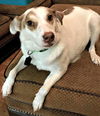Zoey