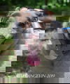 Zoey