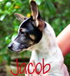 Jacob