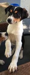 Ellie