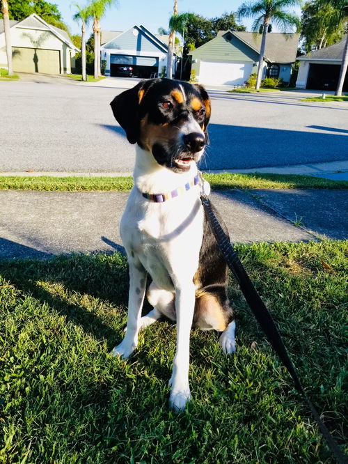 Ellie