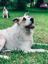 Thelma