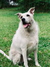 Thelma