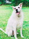 Thelma