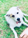 Thelma