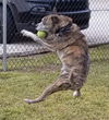 Wilson