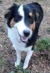 Zoey