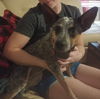 Sadie