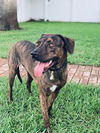 Bailey
