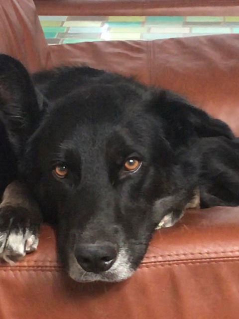Odin