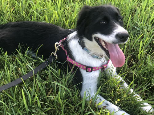 Ellie