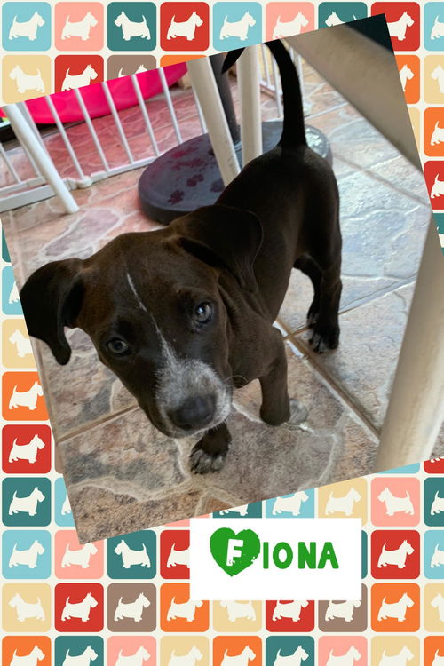 Fiona