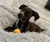 Fiona