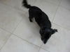 Edgar