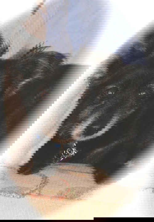 Edgar