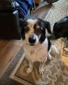 Sadie Ann