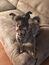 sadie kay