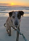 Jackson (Benny)