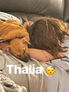 THALIA
