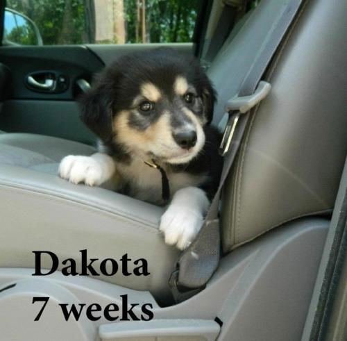 Dakota