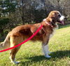 Finnegan