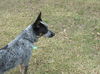 Zoey