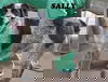 Sally