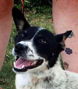Heidi