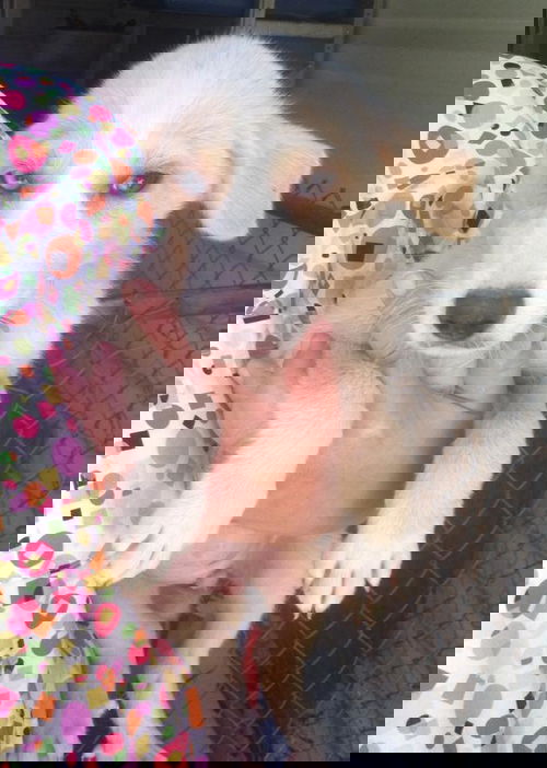 Nepture