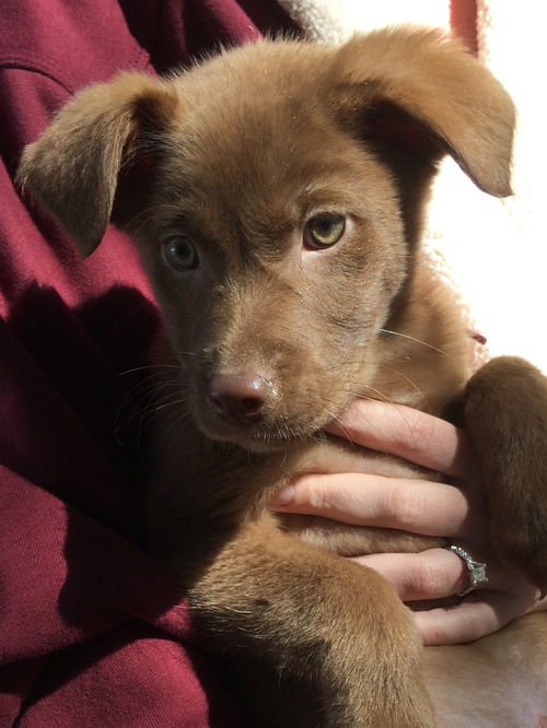 Cajun