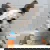 Tango
