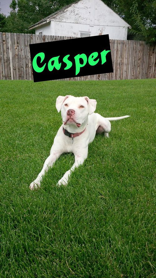 Casper