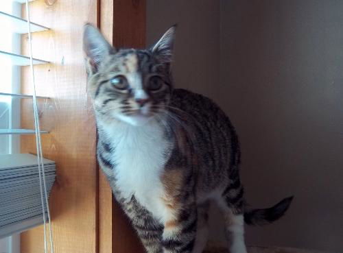 Molly