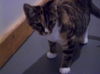 Molly