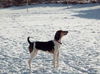 Lucy