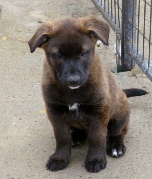 Rusty