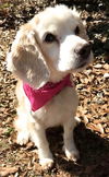 Chloe aka Tracey