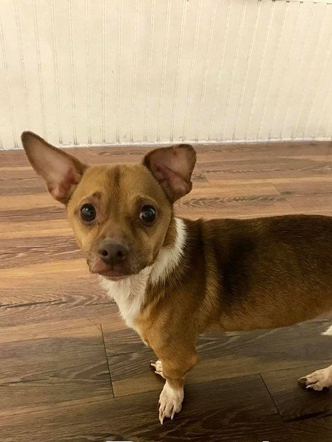 Copper