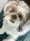 Roxy Ann