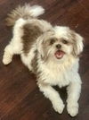 Roxy Ann