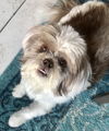 Roxy Ann