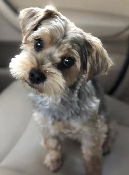 Bobby